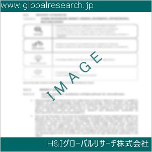 グローバルリサーチ調査資料のイメージ
